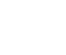 Falconer Printing